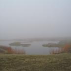 Foggy Landscapes
 /  